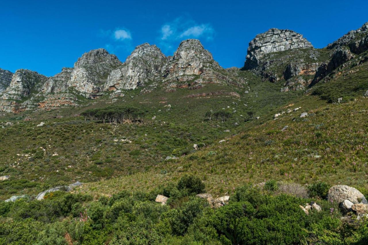 Auberge Cape Guesthouse Kaapstad Buitenkant foto
